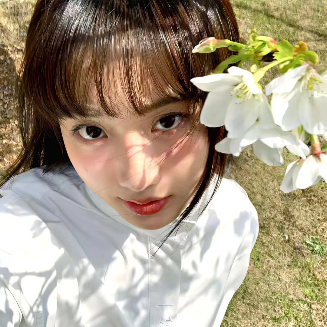 欲望和智慧