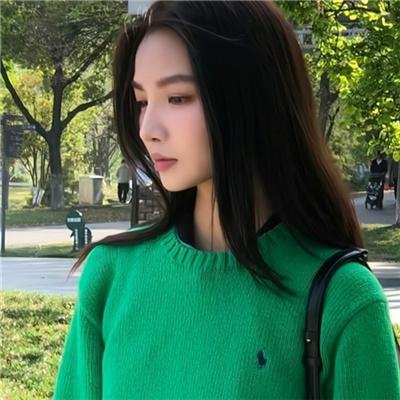 高速路上一只猫